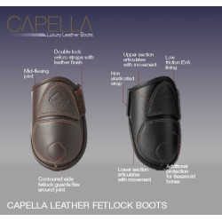 Streichkappen Capella LeMieux Streichkappen Capella LeMieux