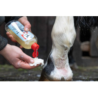 Leovet Reinigungslotion Leovet Reinigungslotion