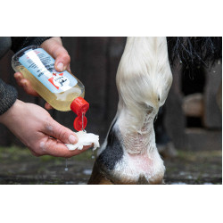 Leovet Reinigungslotion