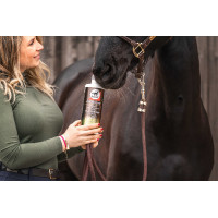 Ergänzungsfuttermittel Leovet Elixir Bronches Sirup Ergänzungsfuttermittel Leovet Elixir Bronches Sirup