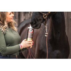 Ergänzungsfuttermittel Leovet Elixir Bronches Sirup