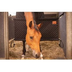 Boxentür Paddock Sports Schwarz