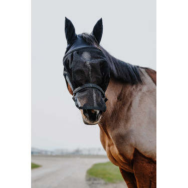 Halfter + Maske Equithème Schwarz Halfter + Maske Equithème Schwarz