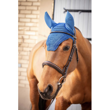 Mütze Prems Paddock Sports Königsblau Mütze Prems Paddock Sports Königsblau