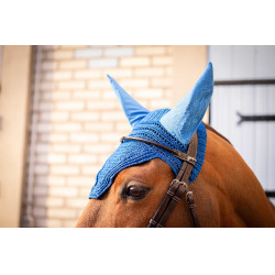 Mütze Prems Paddock Sports Königsblau Mütze Prems Paddock Sports Königsblau