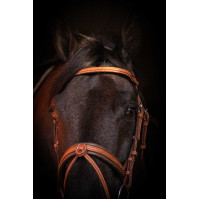 Trense Pénélope Eleganz Trense Pénélope Eleganz