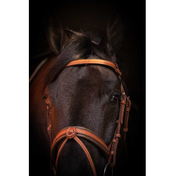 Trense Pénélope Eleganz Cognac Braun