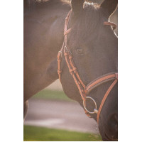 Trense Pénélope Eleganz Trense Pénélope Eleganz