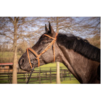 Trense Pénélope Eleganz Cognac Braun