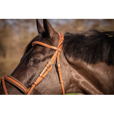 Trense Pénélope Eleganz Cognac Braun