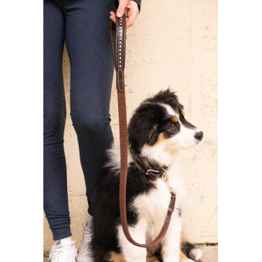 Lass los Hund Pénélope Rubber Havanna Braun