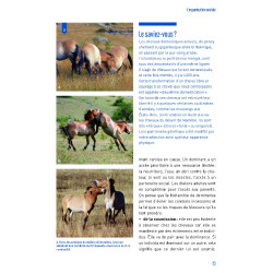 Verhalten und Haltungen Verhalten und Haltungen