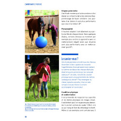 Verhalten und Haltungen Verhalten und Haltungen