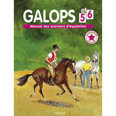 Galopp 5 und 6