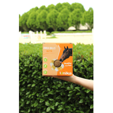 Ergänzungsfuttermittel Unika Elyte