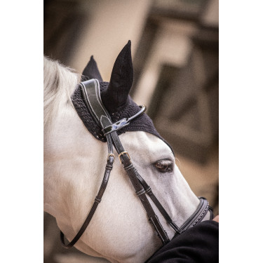 Mütze Paddock Sports Pro Baumwolle Schwarz Mütze Paddock Sports Pro Baumwolle Schwarz