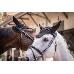 Mütze Paddock Sports Pro Baumwolle Schwarz Mütze Paddock Sports Pro Baumwolle Schwarz