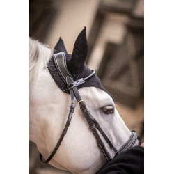 Mütze Paddock Sports Pro Baumwolle Schwarz Mütze Paddock Sports Pro Baumwolle Schwarz