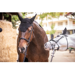 Mütze Paddock Sports Pro Baumwolle Schwarz Mütze Paddock Sports Pro Baumwolle Schwarz