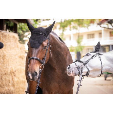 Mütze Paddock Sports Pro Baumwolle Schwarz Mütze Paddock Sports Pro Baumwolle Schwarz