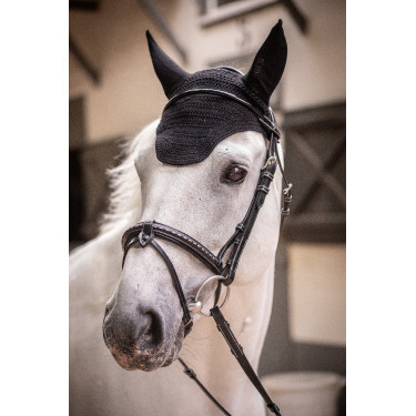 Mütze Paddock Sports Pro Baumwolle Schwarz Mütze Paddock Sports Pro Baumwolle Schwarz