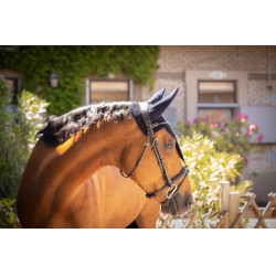 Mütze Paddock Sports Pro Baumwolle lang Marineblau