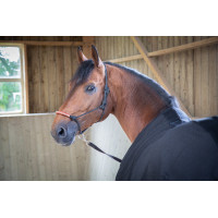 Paddock Sports Light Mesh Hemd Schwarz