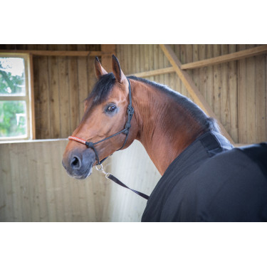 Paddock Sports Light Mesh Hemd Schwarz