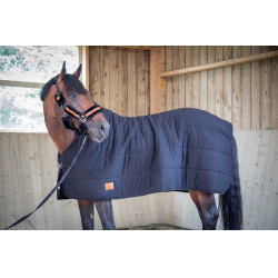 Unterdecke Paddock Sports Underblanket Schwarz