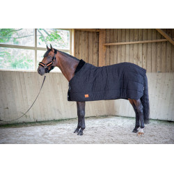 Unterdecke Paddock Sports Underblanket Schwarz