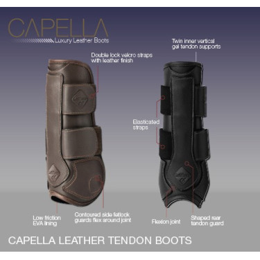 Gamaschen LeMieux Capella Gamaschen LeMieux Capella