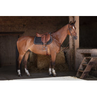 Brustblatt Eric Thomas Hybrid Havanna Braun