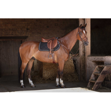 Brustblatt Eric Thomas Hybrid Havanna Braun