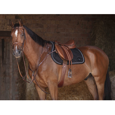 Brustblatt Eric Thomas Hybrid Havanna Braun