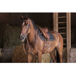 Brustblatt Eric Thomas Hybrid Havanna Braun