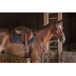 Brustblatt Eric Thomas Hybrid Havanna Braun