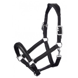 LeMieux Anatomisches Halfter LeMieux Anatomisches Halfter