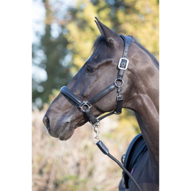 LeMieux Anatomisches Halfter LeMieux Anatomisches Halfter