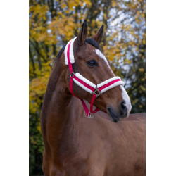 Norton Komfort Halfter Himbeere Rot Norton Komfort Halfter Himbeere Rot