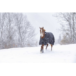 Wasserdichte Riding World Oxford Decke Schwarz