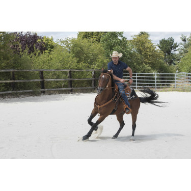 Sattel Westride by Franck Perret Aurora Haselnuss Braun