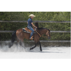 Sattel Westride by Franck Perret Aurora Haselnuss Braun