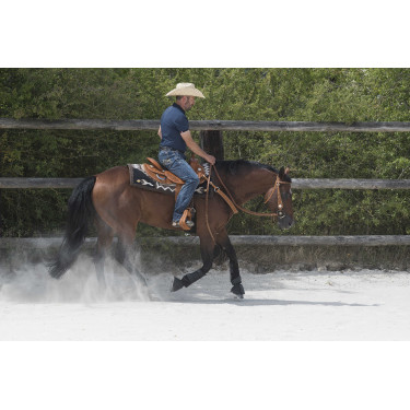 Sattel Westride by Franck Perret Aurora Haselnuss Braun