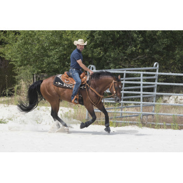 Sattel Westride by Franck Perret Aurora Haselnuss Braun