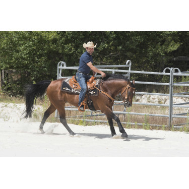 Sattel Westride by Franck Perret Aurora Haselnuss Braun