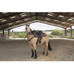 Westride-Sattel von Franck Perret Arvada Schokolade Braun