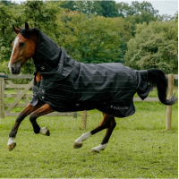 Wasserdichte Tyrex Equithème Lumin 600D Fliegendecke Schwarz Wasserdichte Tyrex Equithème Lumin 600D Fliegendecke Schwarz