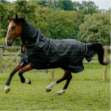 Wasserdichte Tyrex Equithème Lumin 600D Fliegendecke Schwarz