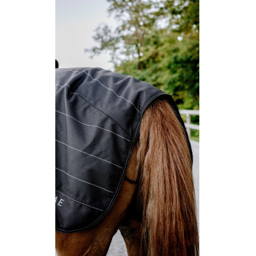 Nierendecke Tyrex Equithème Lumin 600D Schwarz