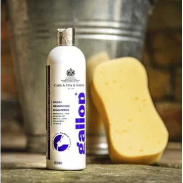 Fleckenentferner-Shampoo Gallop® Carr & Day & Martin